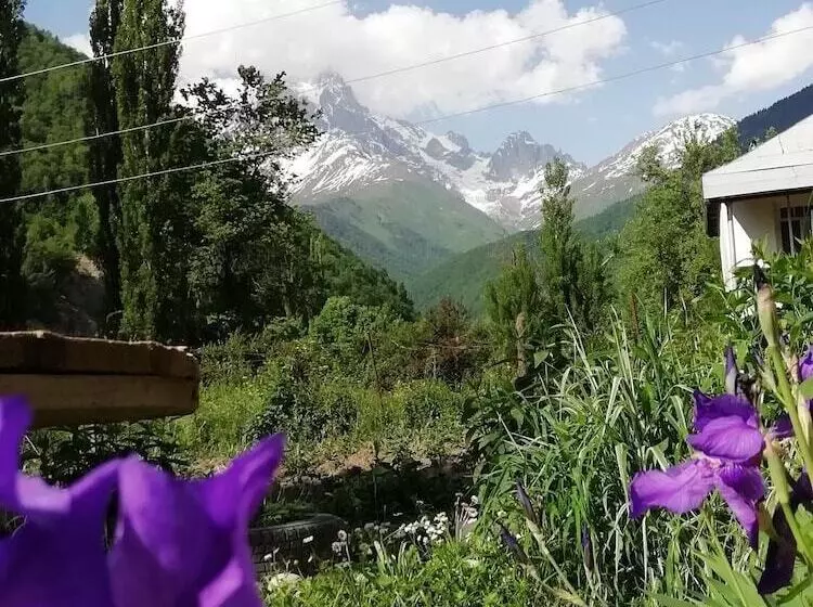 پانسیون Guest House Carpediem
