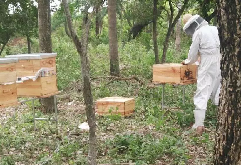 پانسیون Rancho Seibert