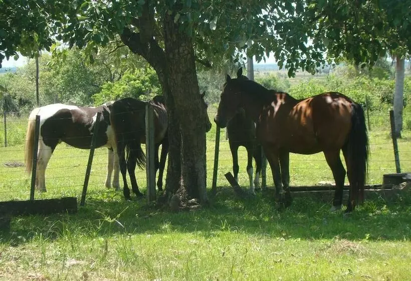 پانسیون Rancho Seibert