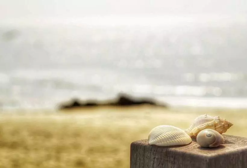 پانسیون Red Roof B&b