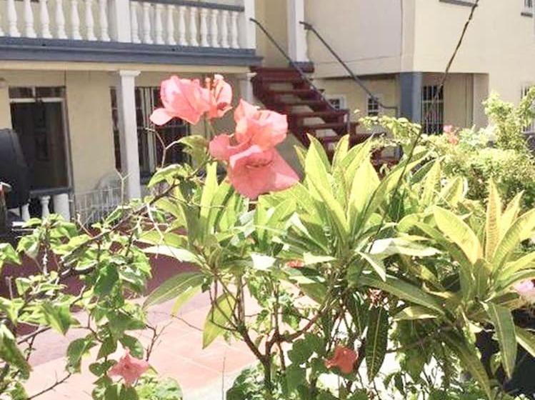 پانسیون Willies Court Apartments