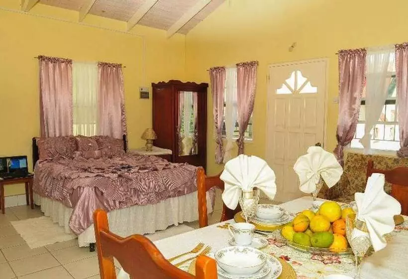 پانسیون Willies Court Apartments