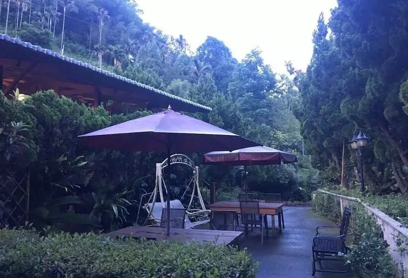 Yamaya B&b