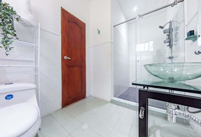 هاستل Ayenda Casa Roman