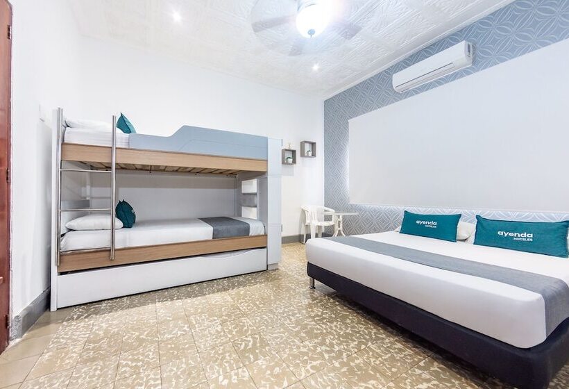 هاستل Ayenda Casa Roman