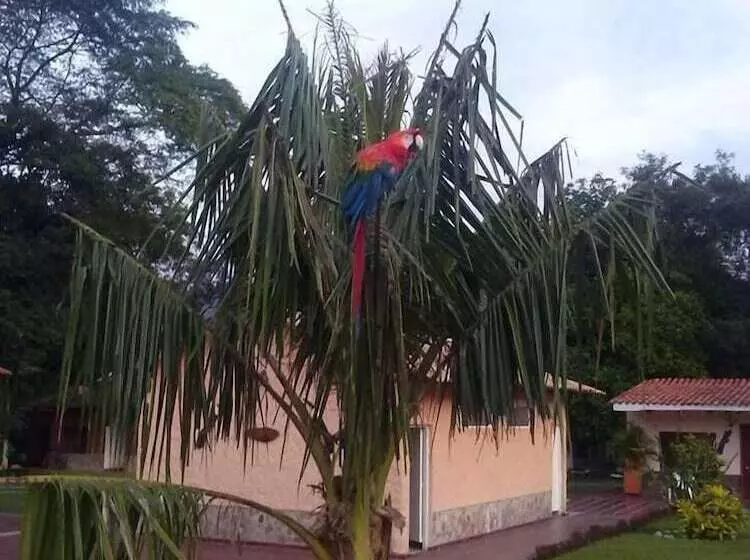 Hotelli Campestre Aguamaco