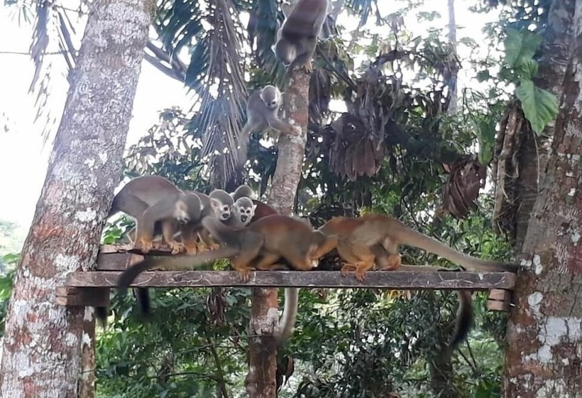 ホテル Campestre Aguamaco