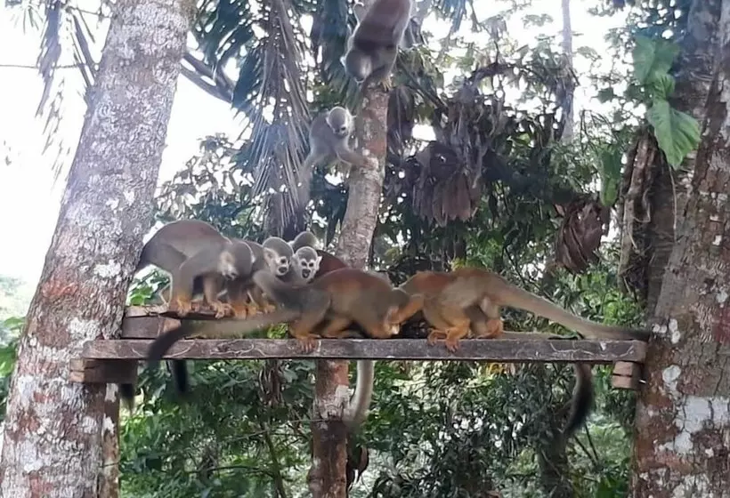 Hotelli Campestre Aguamaco