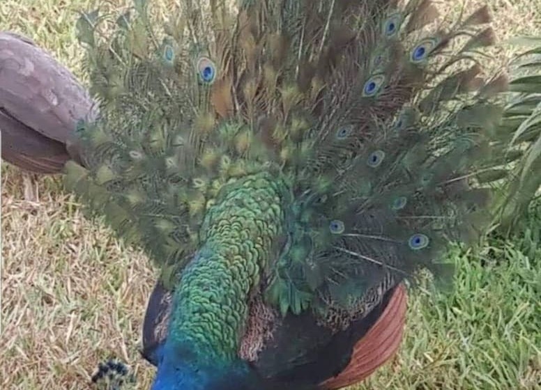 فندق Prestige Hôtel