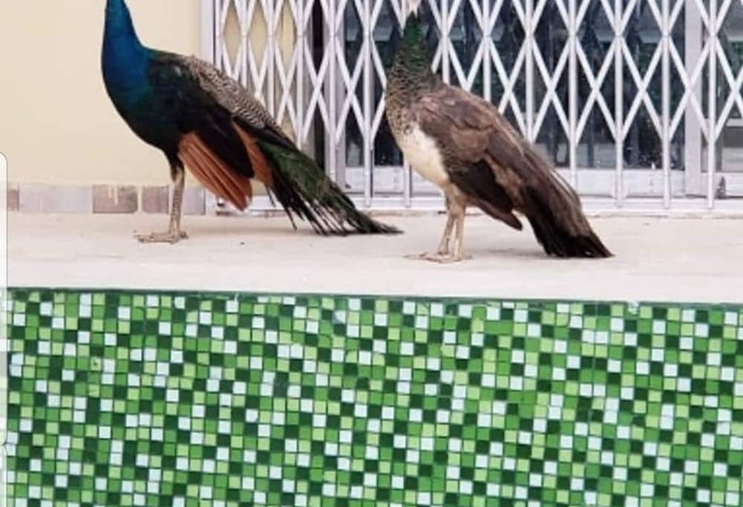 فندق Prestige Hôtel