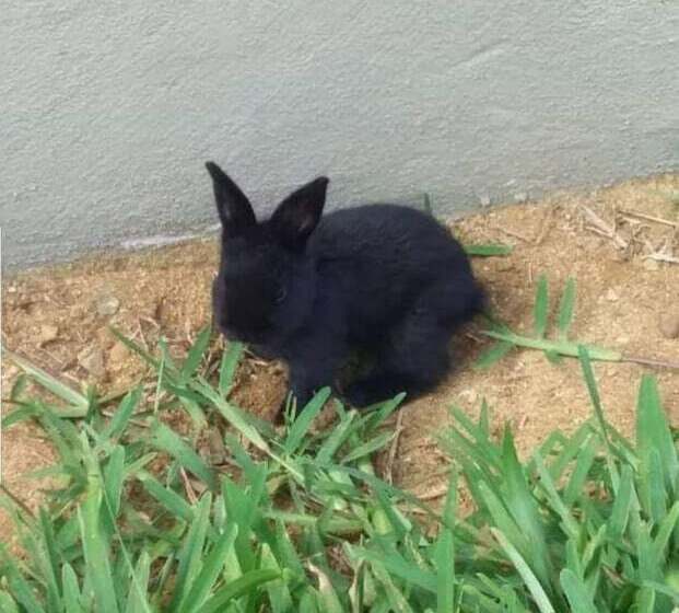 فندق Prestige Hôtel