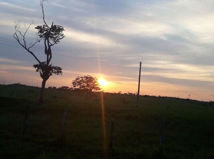 호텔 San Pedro Plaza