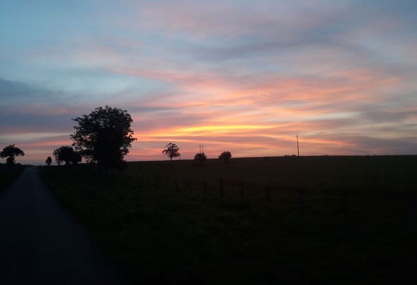 호텔 San Pedro Plaza