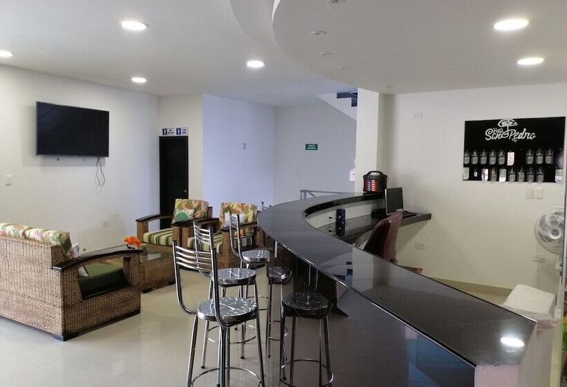 호텔 San Pedro Plaza