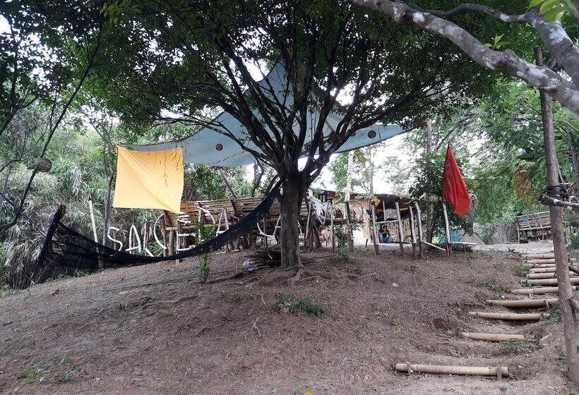 ホテル Singalong Nature Camphill Site