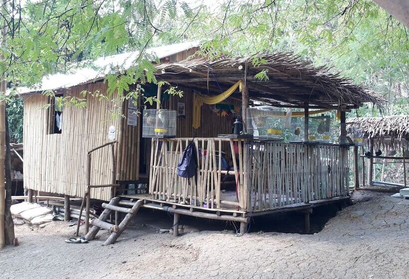 ホテル Singalong Nature Camphill Site