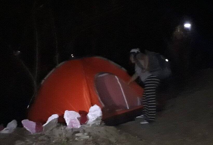 ホテル Singalong Nature Camphill Site