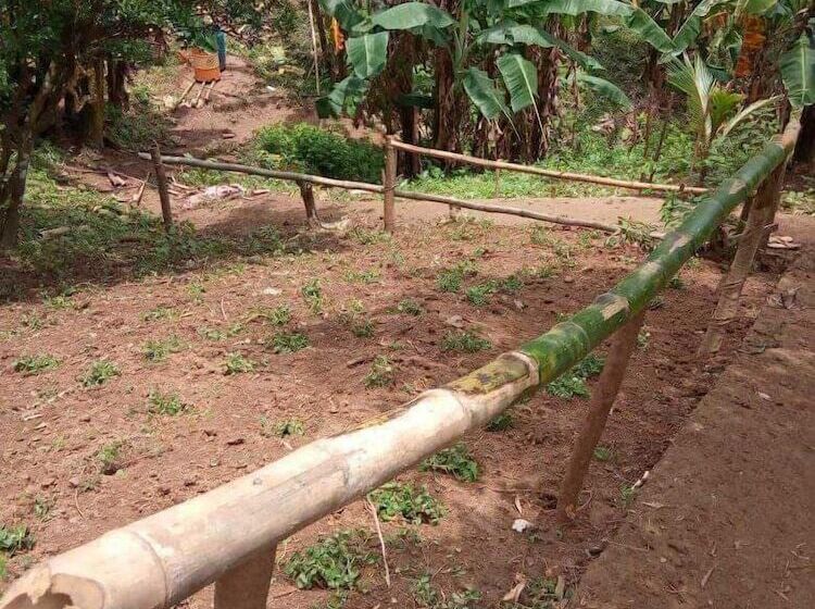 ホテル Singalong Nature Camphill Site