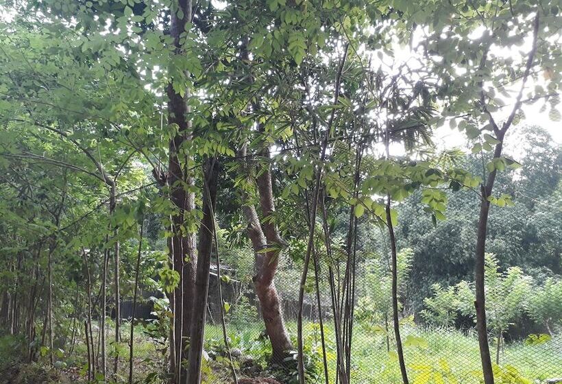 ホテル Singalong Nature Camphill Site