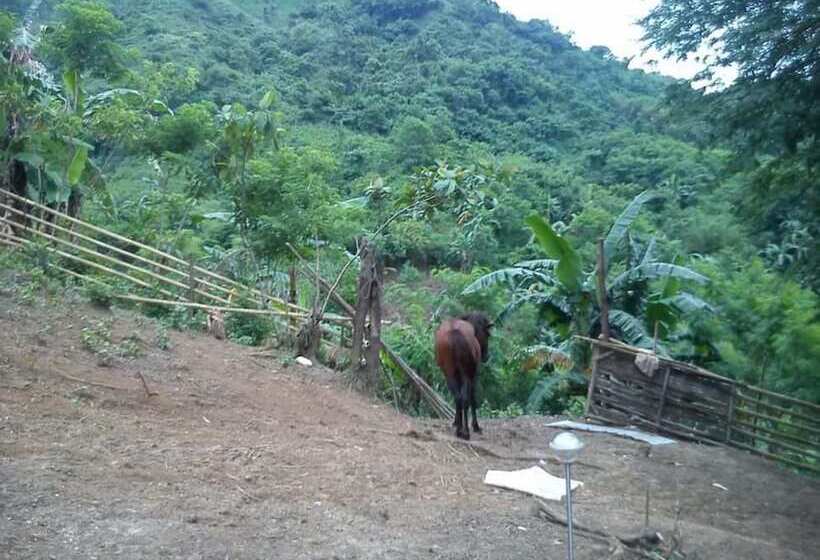 ホテル Singalong Nature Camphill Site