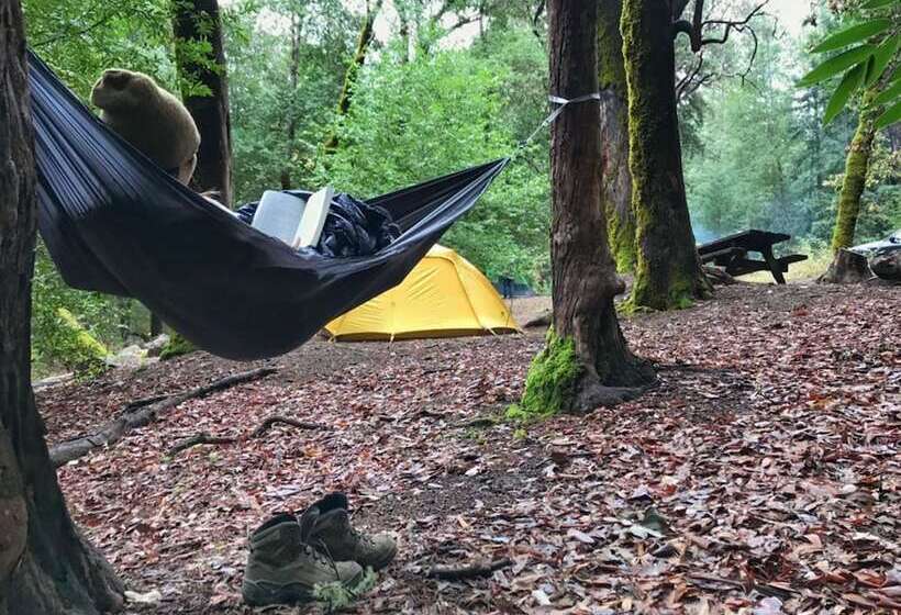 ホテル Singalong Nature Camphill Site