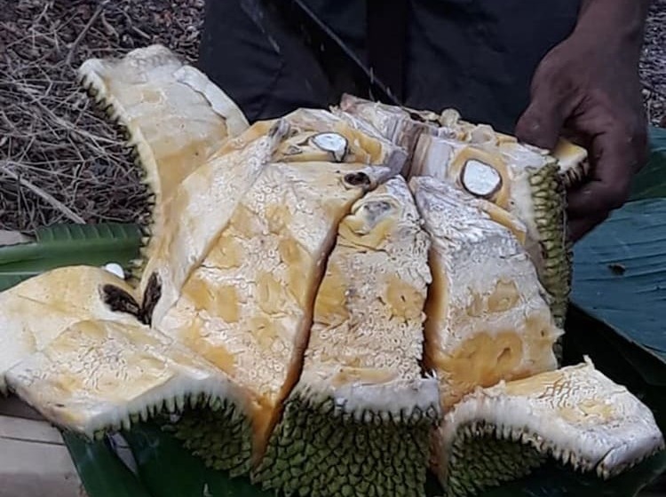 ホテル Singalong Nature Camphill Site