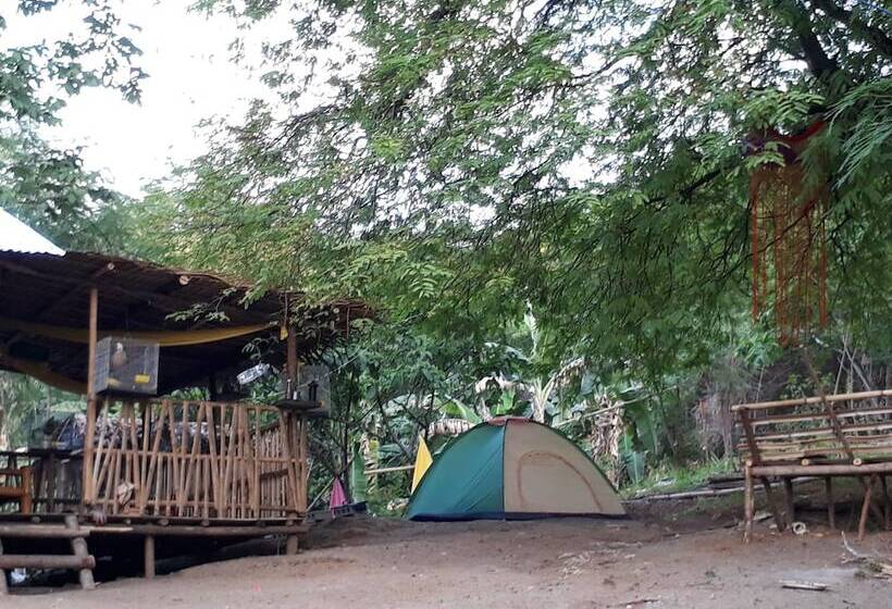 ホテル Singalong Nature Camphill Site