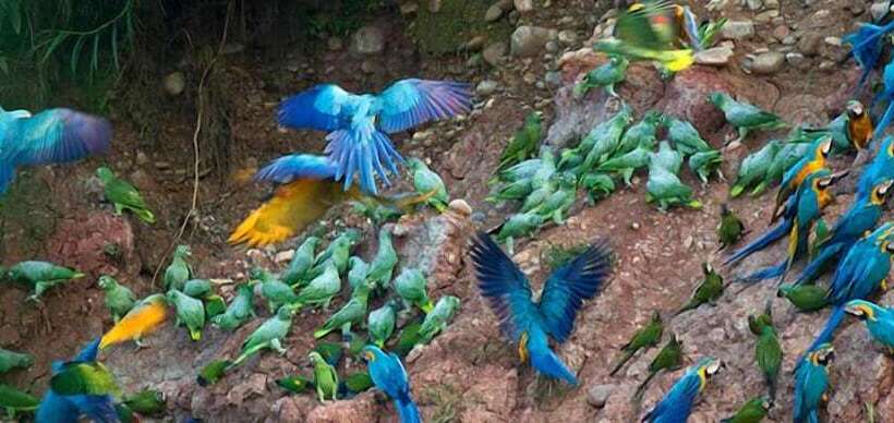 Inotawa Expeditions Amazon House Hostel