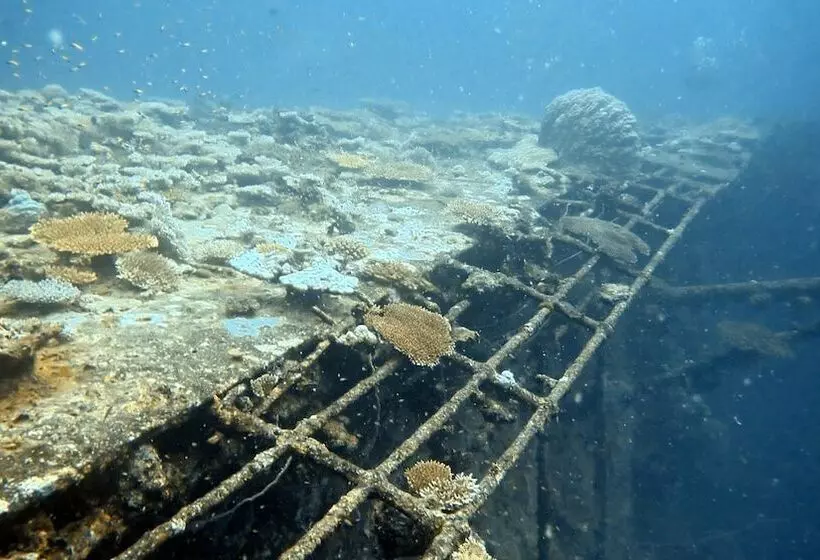 پانسیون Sea Star Diving