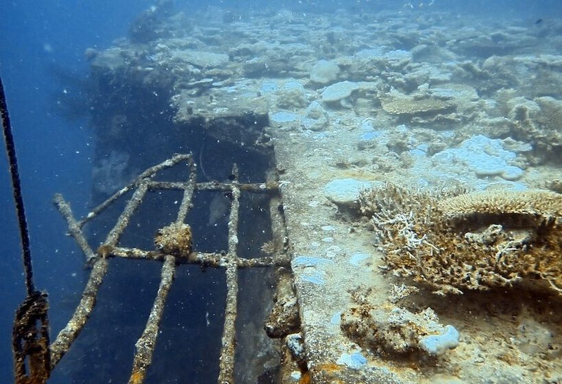 پانسیون Sea Star Diving