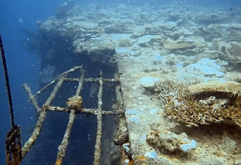 پانسیون Sea Star Diving