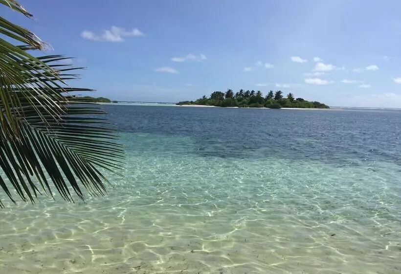 پانسیون Sea Star Diving