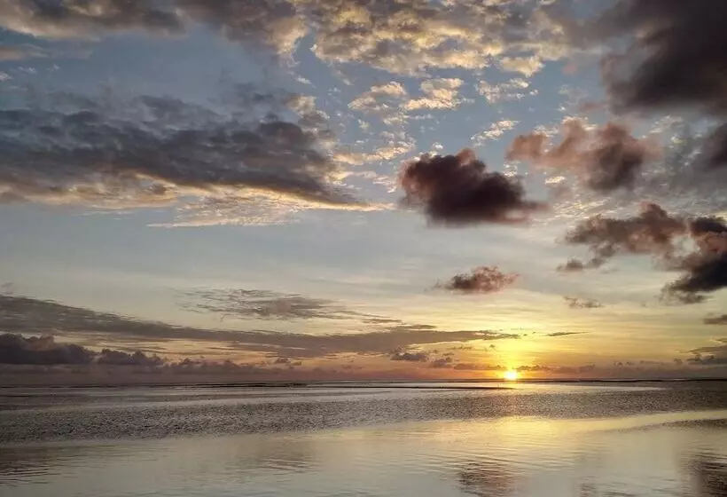 پانسیون Sea Star Diving