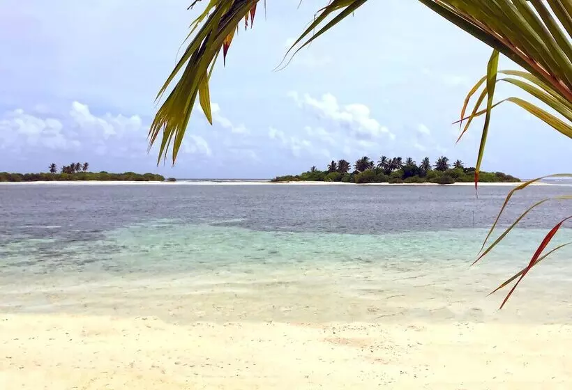 پانسیون Sea Star Diving