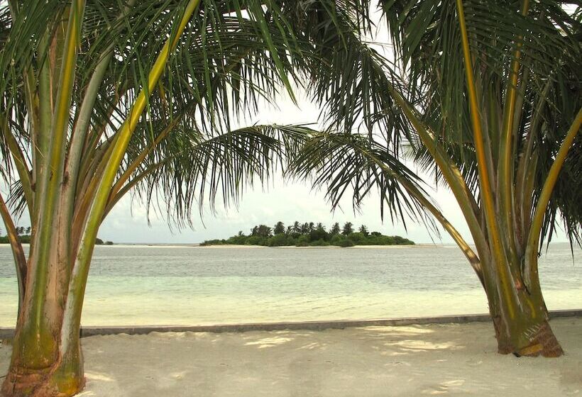 پانسیون Sea Star Diving