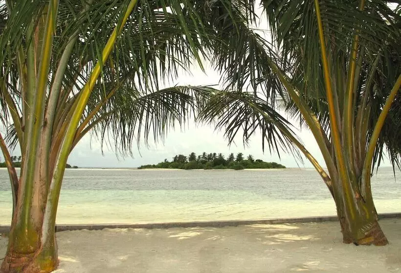 پانسیون Sea Star Diving