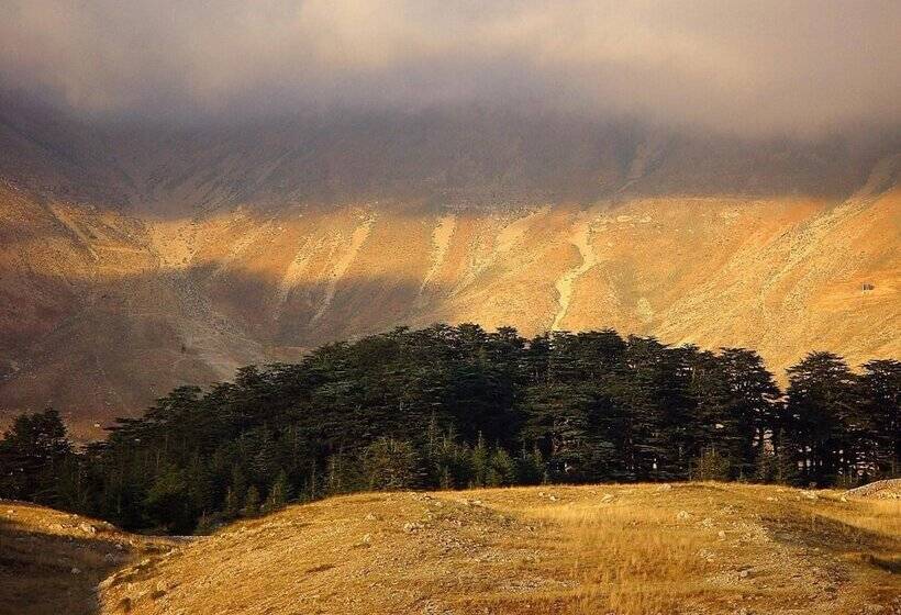 هتل La Maison Des Cèdres