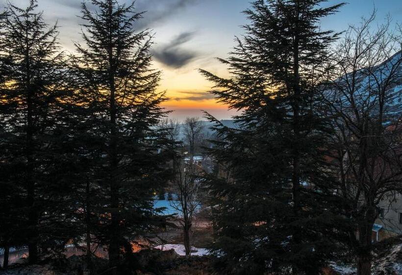 هتل La Maison Des Cèdres