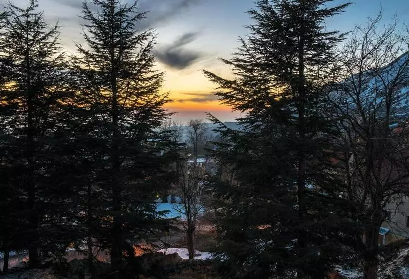 هتل La Maison Des Cèdres