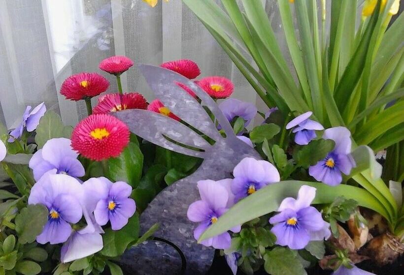 فندق Landpension Haus Ruth