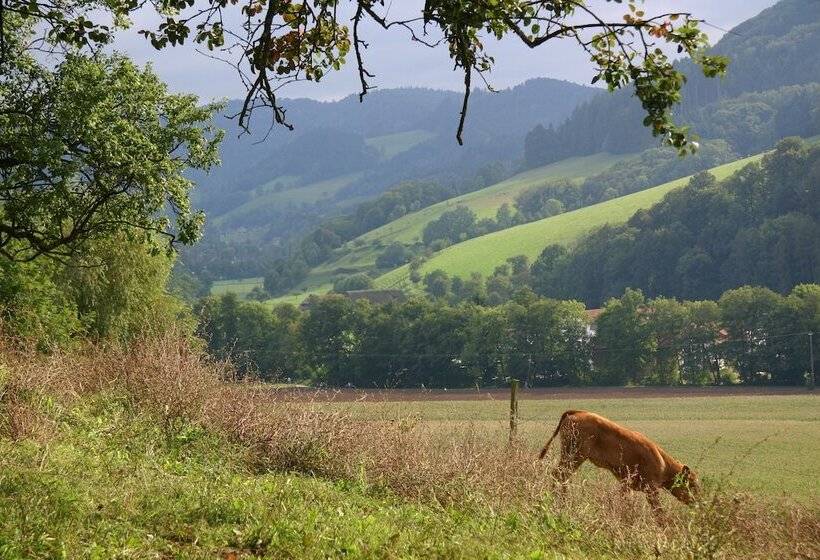 فندق Landpension Haus Ruth