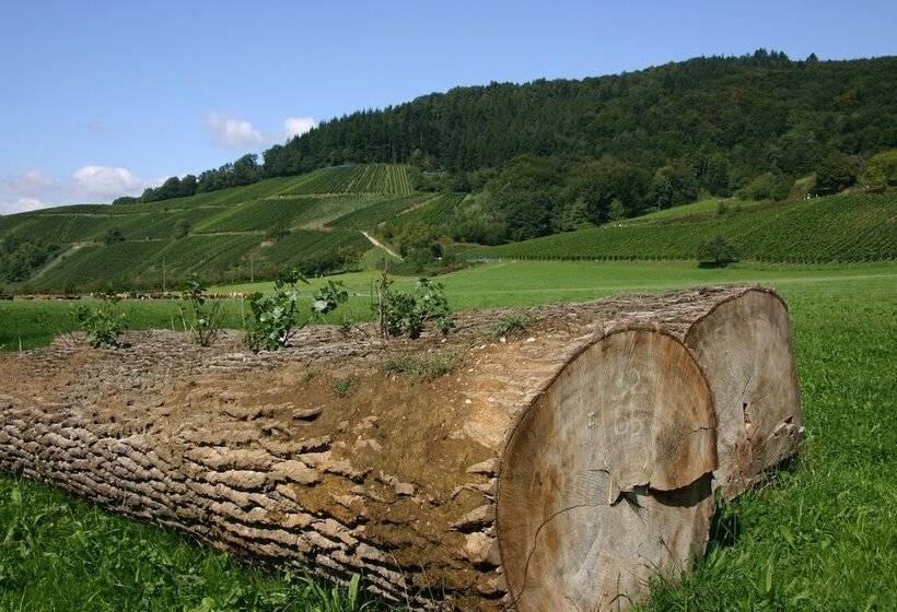 فندق Landpension Haus Ruth