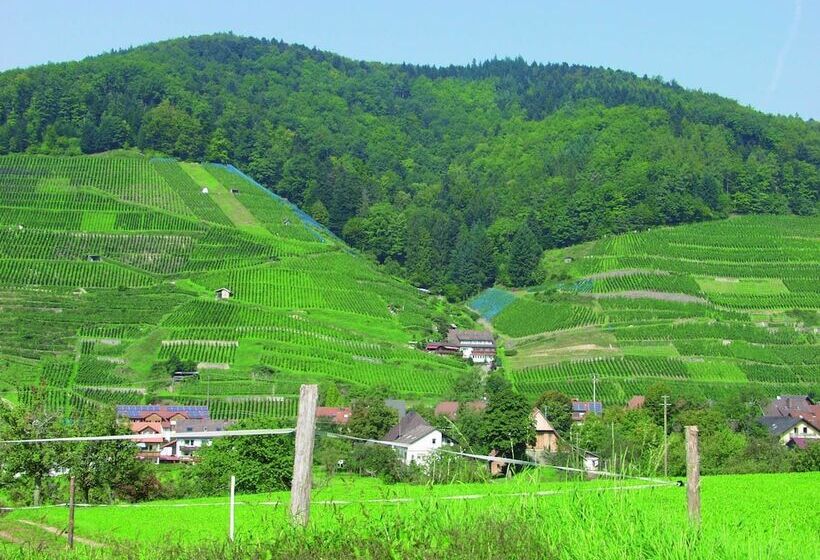 فندق Landpension Haus Ruth