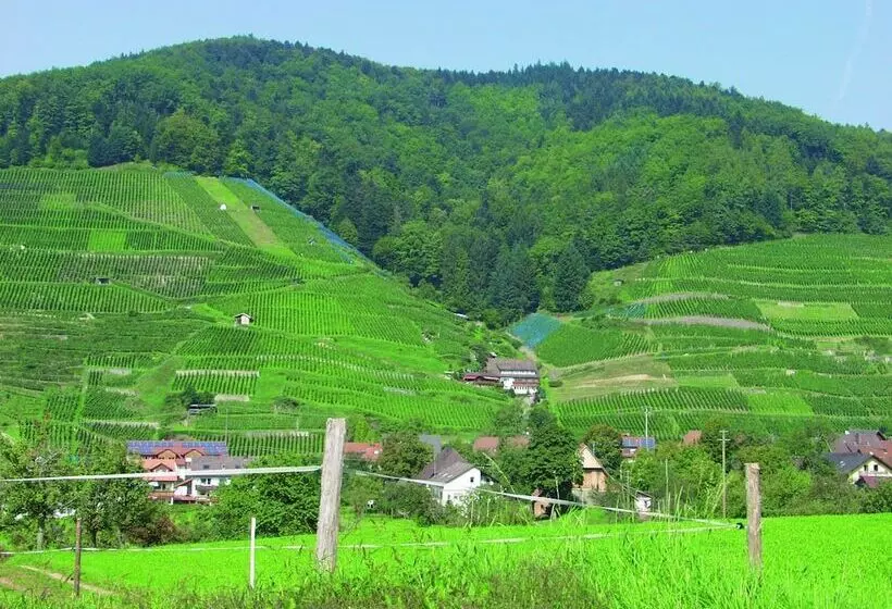 ホテル Landpension Haus Ruth