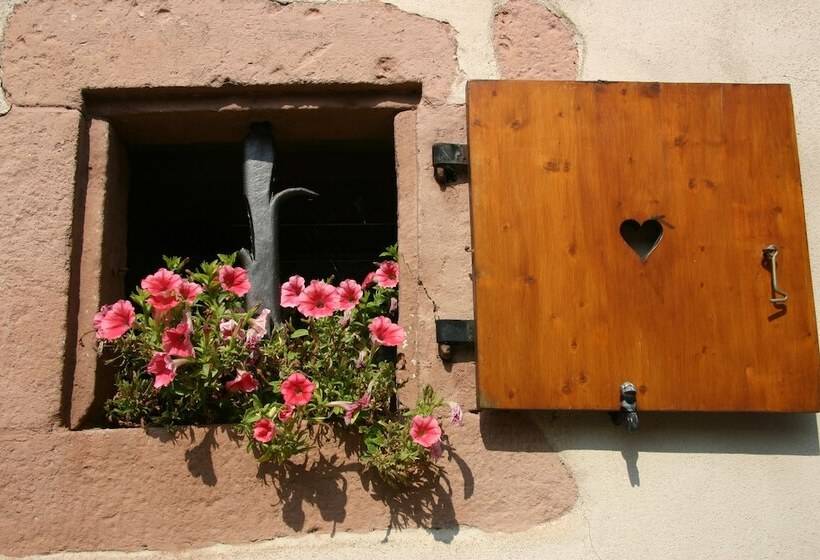 فندق Landpension Haus Ruth