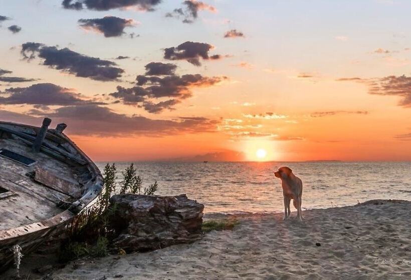 Отель Nostos Apartments