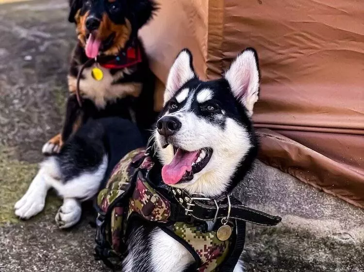 Hotelli Parador La Mesa Redonda