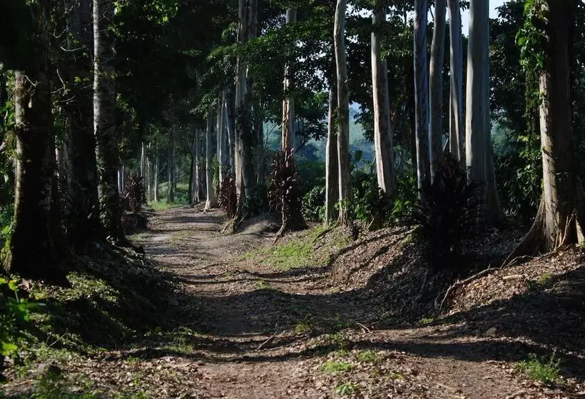 هتل Reserva Patrocinio