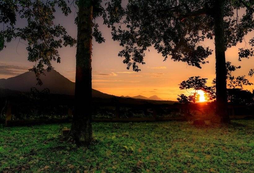 هتل Reserva Patrocinio