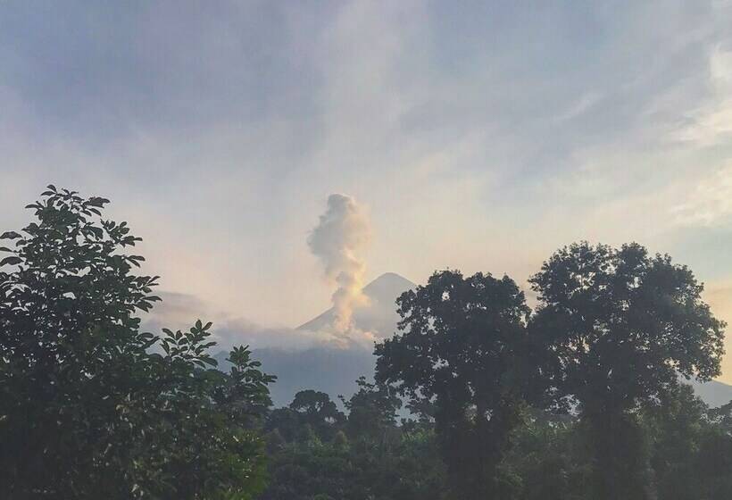 هتل Reserva Patrocinio